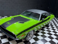 1973 Dodge Challenger for sale in Addison, Illinois (ID-162446)