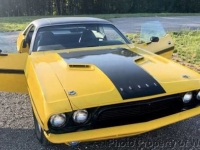 1973 Dodge Challenger for sale in Riverhead, New York (ID-162648)
