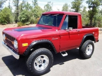 1973 Ford Bronco for sale in Michigan (ID-109473)
