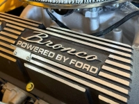 1973 Ford Bronco for sale in Michigan (ID-142012)