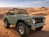 1973 Ford Bronco for sale in Michigan (ID-162130)