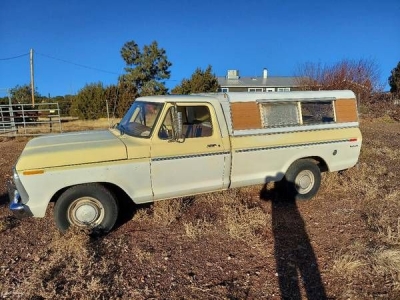 1973 Ford F100 for sale