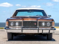 1973 Ford LTD for sale in Michigan (ID-130008)