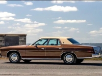 1973 Ford LTD for sale in Michigan (ID-130008)