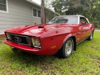 1973 Ford Model 18 for sale in Michigan (ID-118741)
