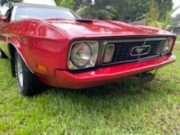 1973 Ford Model 18 for sale in Michigan (ID-118741)