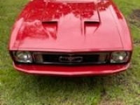 1973 Ford Model 18 for sale in Michigan (ID-118741)