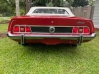 1973 Ford Model 18 for sale in Michigan (ID-118741)