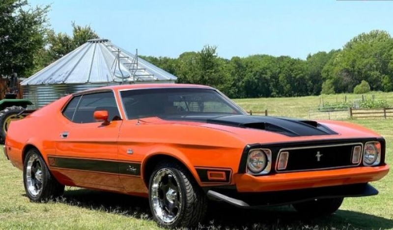1973 Ford Mustang for sale in Michigan (ID-98410) 1973 Ford Mustang for sale in Michigan (ID-98410)