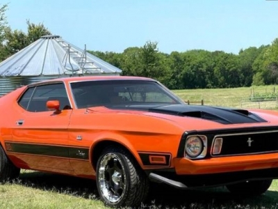 1973 Ford Mustang for sale