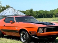 1973 Ford Mustang for sale in Michigan (ID-98410)