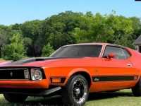1973 Ford Mustang for sale in Michigan (ID-98410)