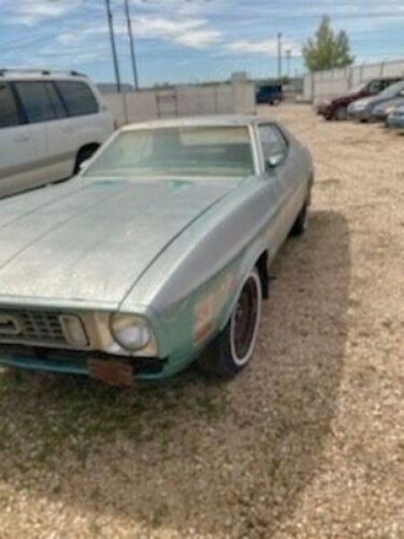 1973 Ford Mustang for sale in Michigan (ID-101197)