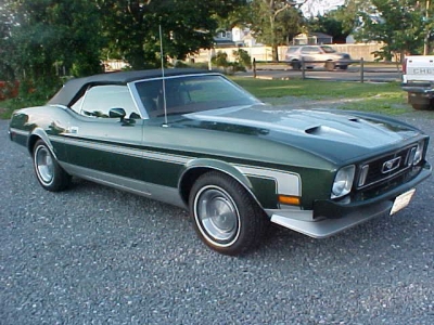 1973 Ford Mustang for sale