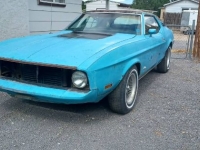 1973 Ford Mustang for sale in Michigan (ID-103240)