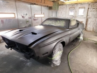 1973 Ford Mustang for sale in Michigan (ID-106587)