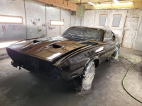 1973 Ford Mustang for sale in Michigan (ID-106587)