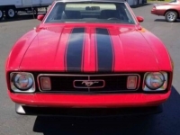 1973 Ford Mustang for sale in Michigan (ID-108767)
