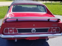 1973 Ford Mustang for sale in Michigan (ID-108767)