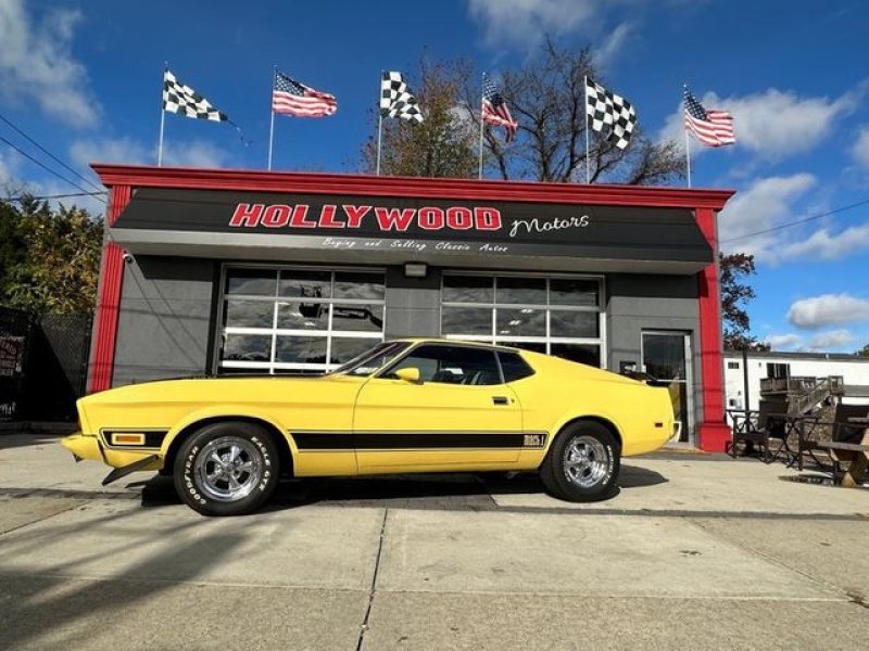 1973 Ford Mustang for sale in Riverhead, New York (ID-109043)