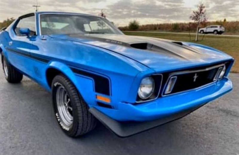 1973 Ford Mustang for sale in Michigan (ID-109374)
