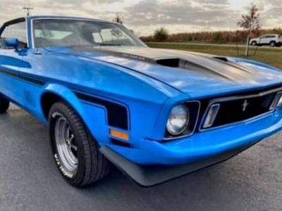 1973 Ford Mustang for sale