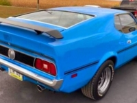 1973 Ford Mustang for sale in Michigan (ID-109374)