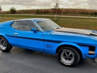 1973 Ford Mustang for sale in Michigan (ID-109374)