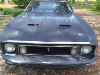 1973 Ford Mustang for sale in Michigan (ID-112235)
