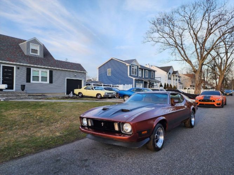 1973 Ford Mustang for sale in Michigan (ID-112967)