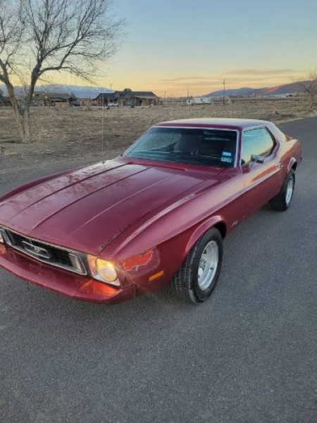1973 Ford Mustang for sale in Michigan (ID-113332) 1973 Ford Mustang for sale in Michigan (ID-113332)