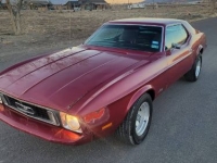 1973 Ford Mustang for sale in Michigan (ID-113332)