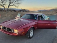 1973 Ford Mustang for sale in Michigan (ID-113332)