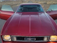 1973 Ford Mustang for sale in Michigan (ID-113332)