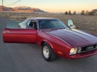 1973 Ford Mustang for sale in Michigan (ID-113332)