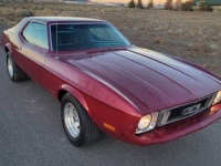 1973 Ford Mustang for sale in Michigan (ID-113332)