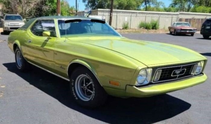 1973 Ford Mustang for sale in Michigan (ID-113695)