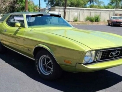 1973 Ford Mustang for sale