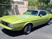 1973 Ford Mustang for sale in Michigan (ID-113695)