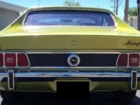 1973 Ford Mustang for sale in Michigan (ID-113695)