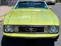1973 Ford Mustang for sale in Michigan (ID-113695)
