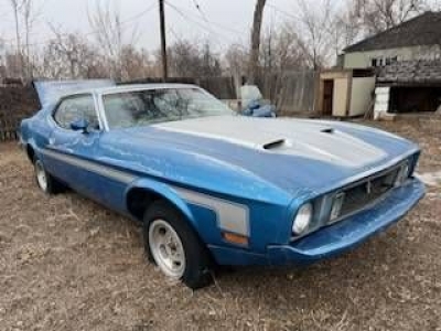 1973 Ford Mustang for sale