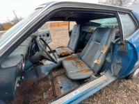 1973 Ford Mustang for sale in Michigan (ID-113840)