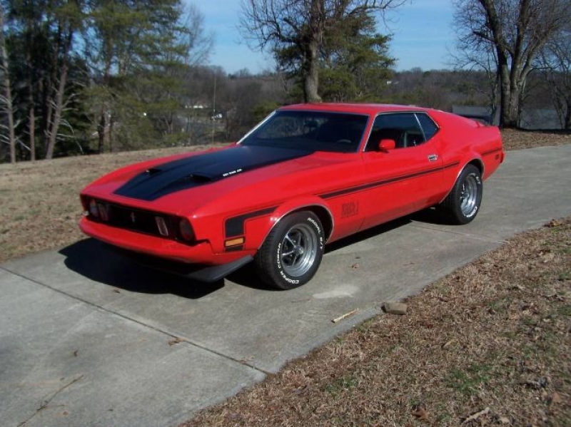1973 Ford Mustang for sale in Michigan (ID-113989)
