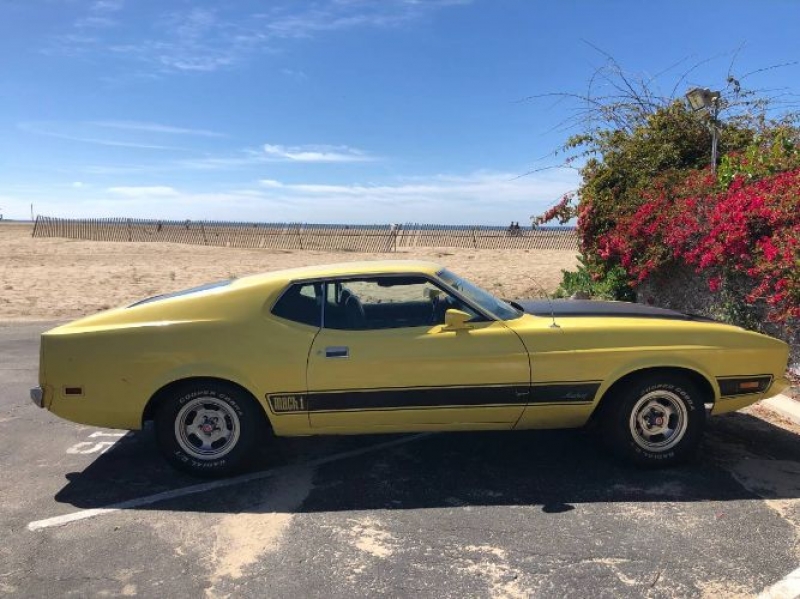 1973 Ford Mustang for sale in Michigan (ID-114151)