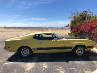 1973 Ford Mustang for sale