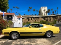 1973 Ford Mustang for sale in Michigan (ID-114151)