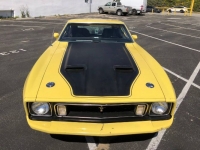 1973 Ford Mustang for sale in Michigan (ID-114151)