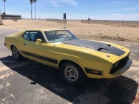 1973 Ford Mustang for sale in Michigan (ID-114151)