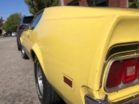 1973 Ford Mustang for sale in Michigan (ID-114151)
